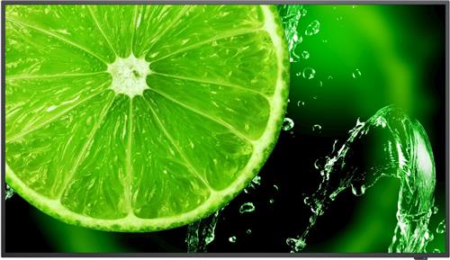 Monitor NEC 60005052 49" IPS LED