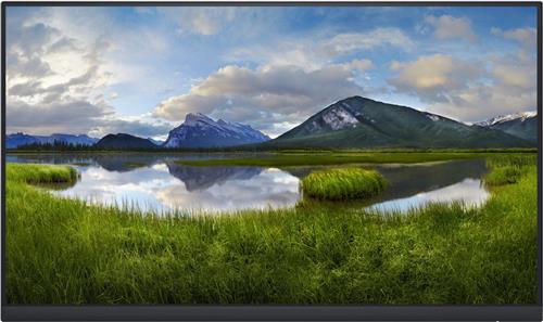 Monitor Dell P2422HE IPS LED 23,8" LCD (Zonder standaard)