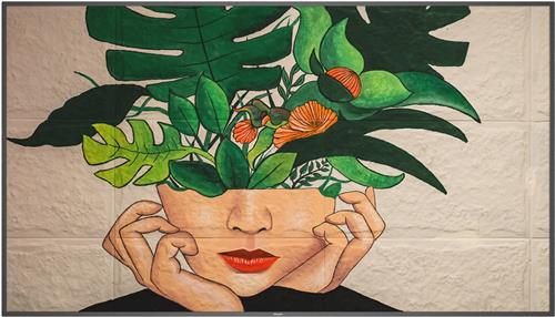 Monitor Videowall Philips 75BDL4511D/00 LFD 75"