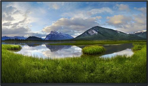 DELL 24 Monitor P2425H 23.8inch