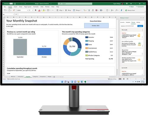 Lenovo ThinkVision P27h-30 - QHD Monitor - USB-C 100w - USB - HDMI - DP - RJ45